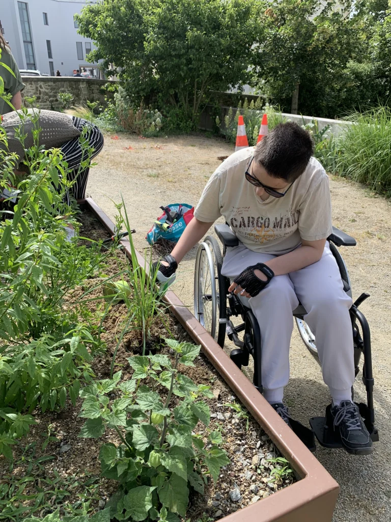 Atelier d’Hortithérapie VS Atelier de jardinage : quelles différences ?