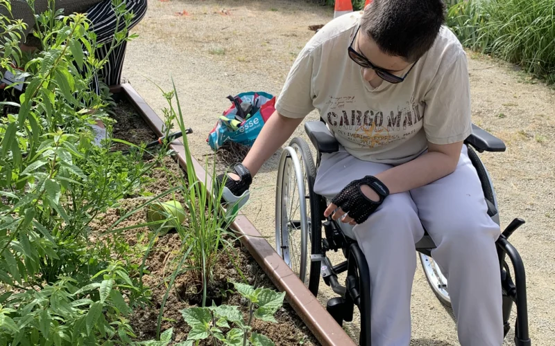 Atelier d’Hortithérapie VS Atelier de jardinage : quelles différences ?