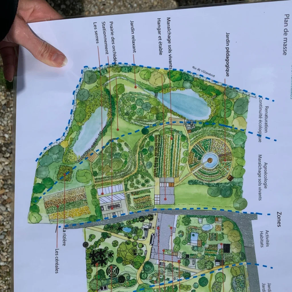 Jardin thérapeutique : 5 erreurs à éviter lors de sa conception